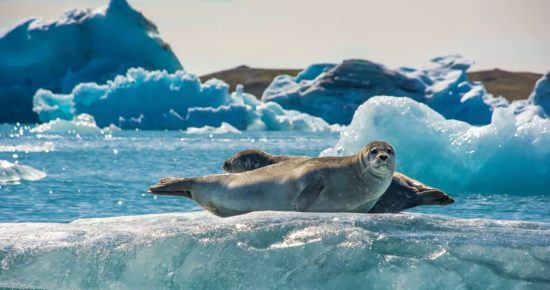 iceland9