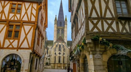 dijon1
